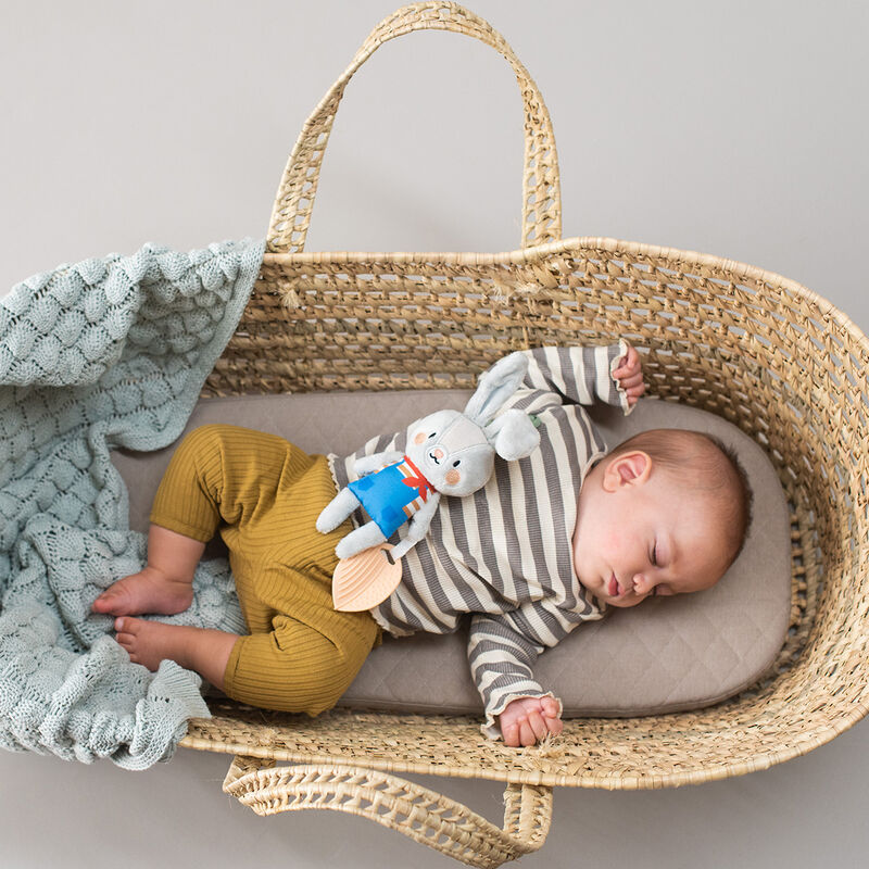 Rylee El Conejo image number null