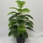 Maceta con Planta Palmento