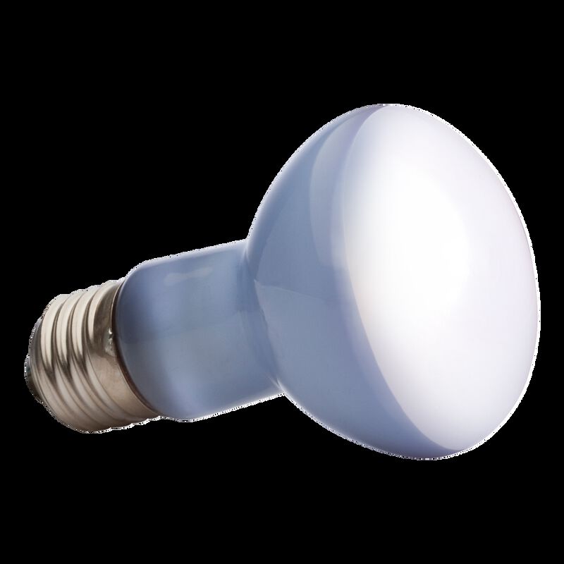 Hagen Exo Terra Sun Glo Foco Dylight Spot Para ... image number null