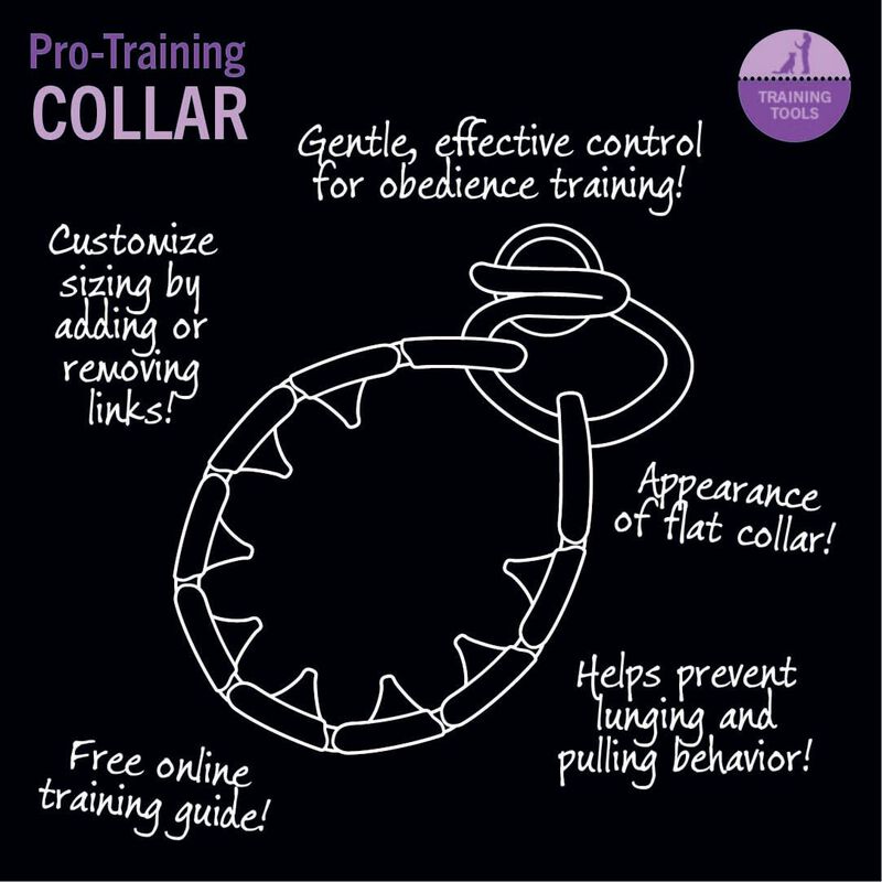 Collar Para Perro Starmark Pro-training Peque&ntilde;o... image number null