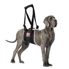 Arn&eacute;s De Soporte Elevado S-etovus Para Perros Grandes - Negro