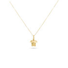 Dije De Tortuga Oro Amarillo Con Cadena 10k