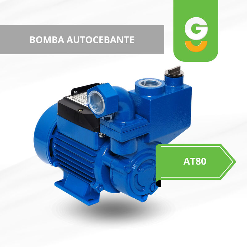 Igoto At80 Bomba Autocebante 1 Hp 127 V image number null