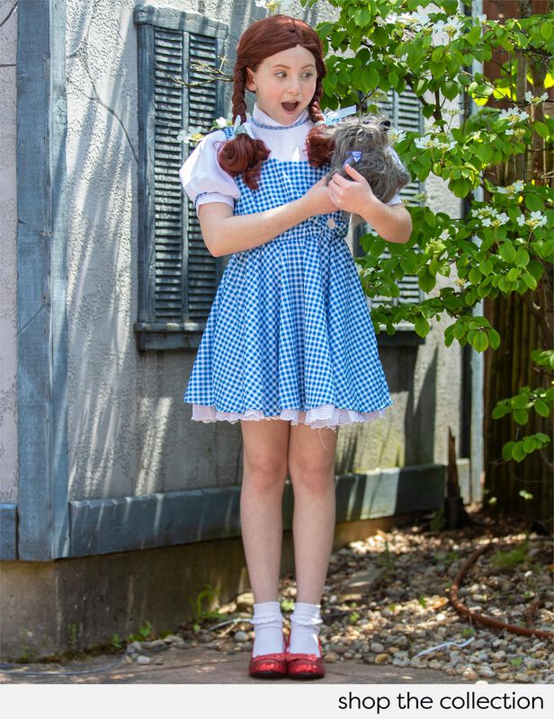 Accesorio De Disfraz Rubie's Wizard Of Oz Dorot... image number null