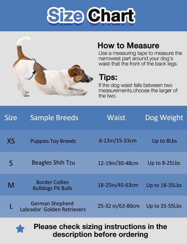 Pa&ntilde;ales Desechables Para Perro Macho Dono Talla... image number null