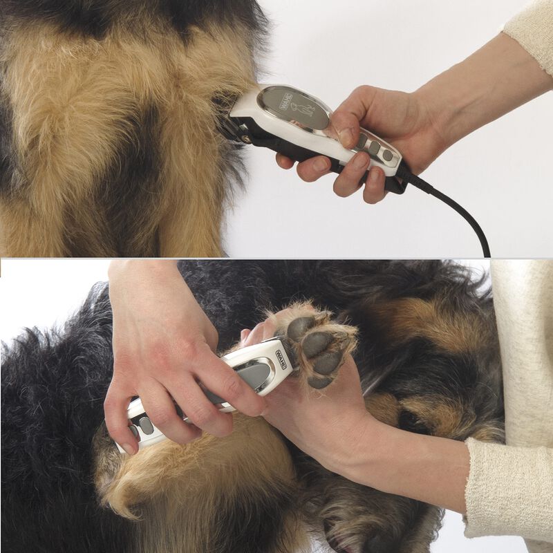 Kit Combinado De Cuidado De Mascotas Wahl Pet-p... image number null