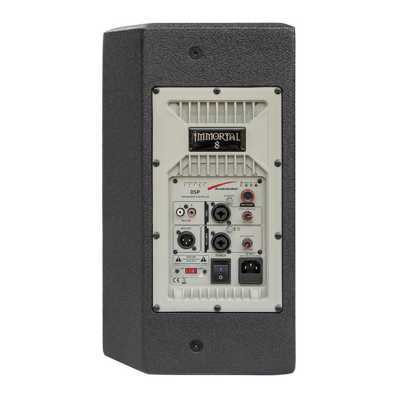 Bocina amplificada profesional 8" 800w Audiobah... image number null