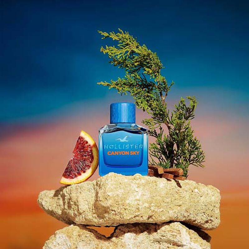 Perfume Hollister Canyon Sky For Him Edt 100 Ml... image number null