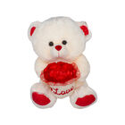 Oso De Peluche Ramo Flores Rojas I Love Regalo San Valentin