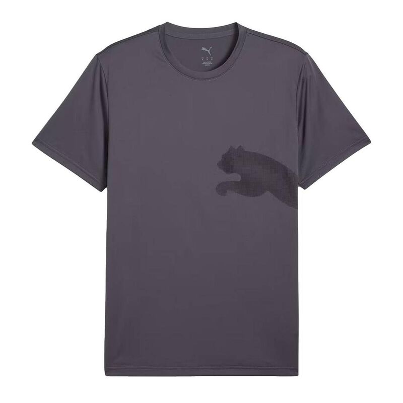 Playera Puma Tad Big Logo Tee para Hombre image number null