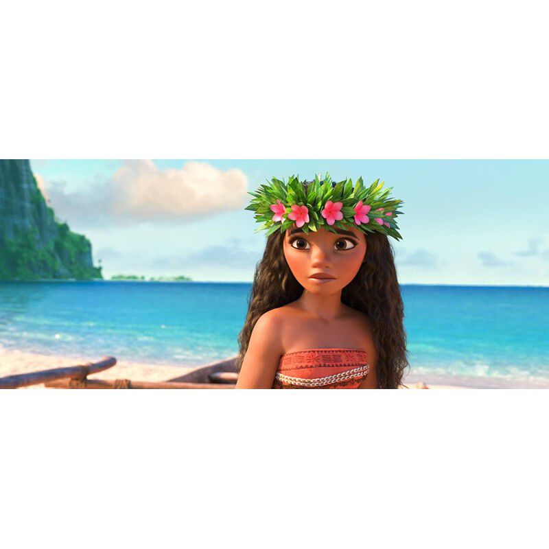 Moana [DVD] (2016) Vaiana image number null