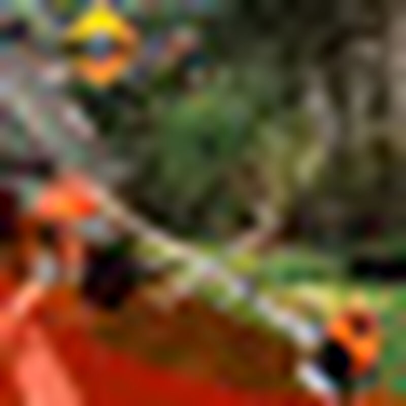 Desbrozadora Power Cat Recta Tubo en dos partes image number null