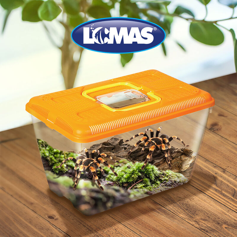 Lomas Mascotera Mediana para Pequeñas Especies ... image number null