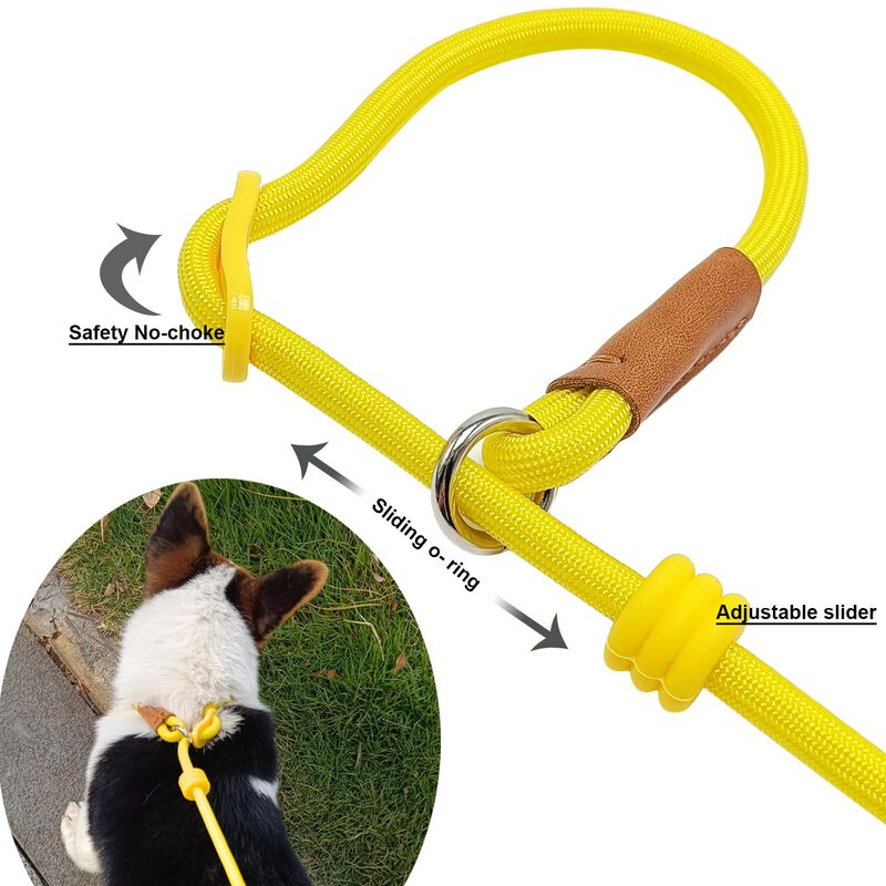 Correa Boswany 1,8 m 0,6 cm Entrenamiento Slip ... image number null