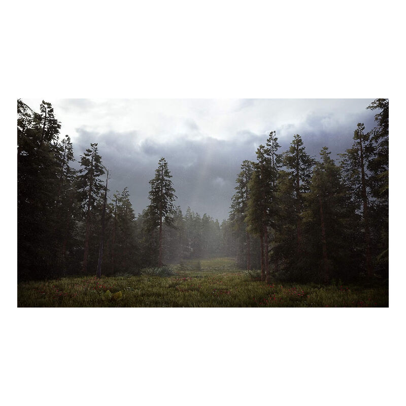 Juego Hunting Simulator 2 Nintendo Switch image number null