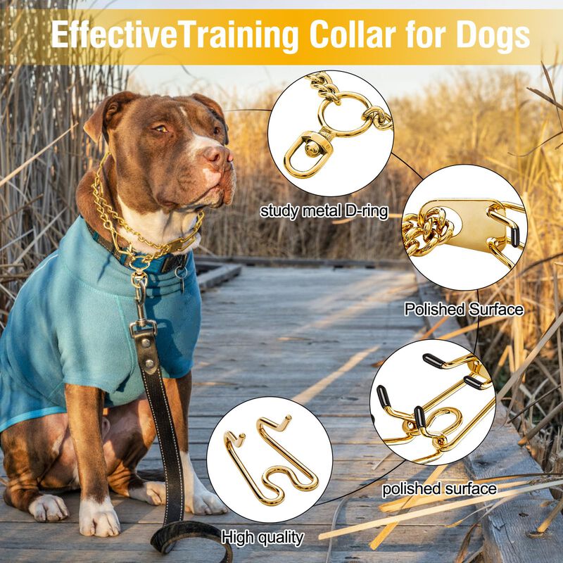 Collar De Entrenamiento Monlida M De Acero Inox... image number null
