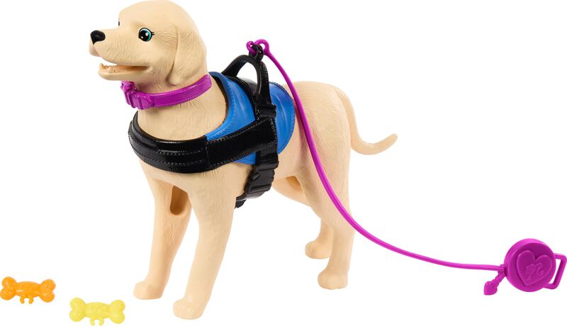 Mu&ntilde;eca Moderna Barbie Brunette Con Perro De Ser... image number null