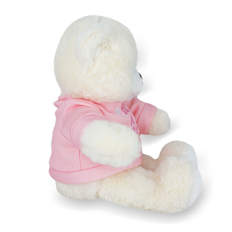 Oso de peluche baby shower revelaci&oacute;n ni&ntilde;o suet... image number null