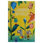 Enciclopedia Infantil: Exploradores Junior: La Asombrosa Naturaleza