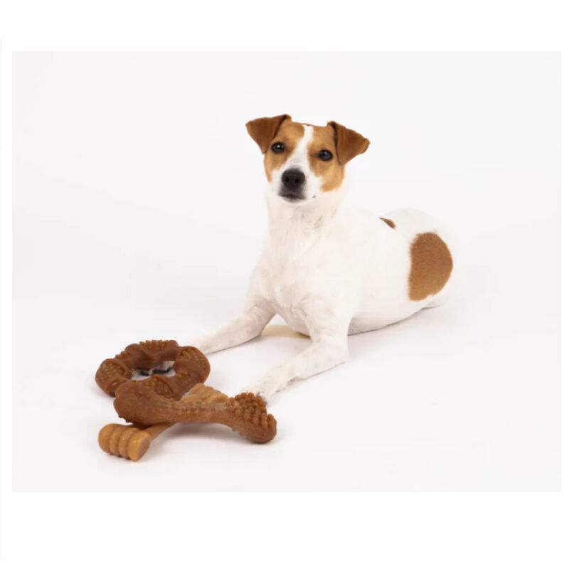 Mordedera De Bamboo Para Perro image number null