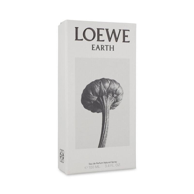Loewe Earth 100ml Edp Spray image number null