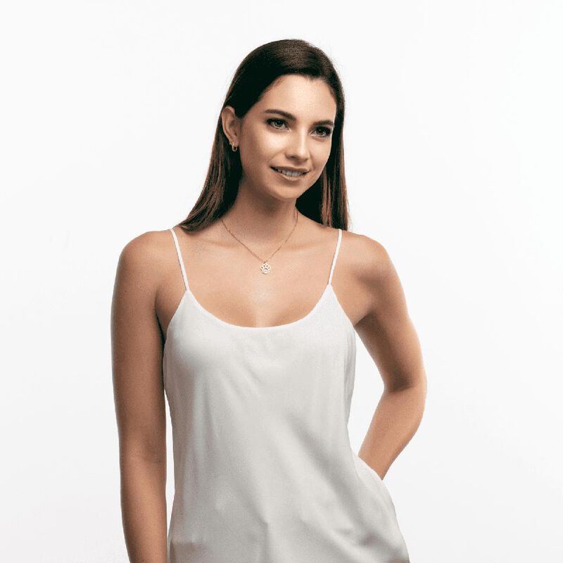 Collar Acero Inoxidable, Huella Gato Perro Cora... image number null