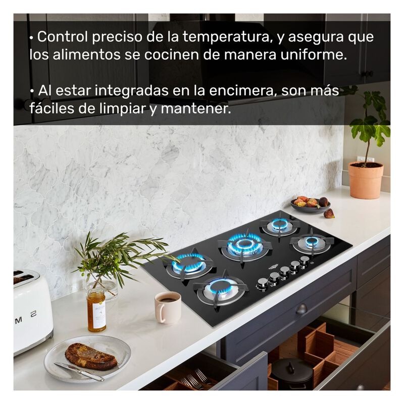 Kit Parrilla 5 Quemadores Vidrio Templado Campa... image number null