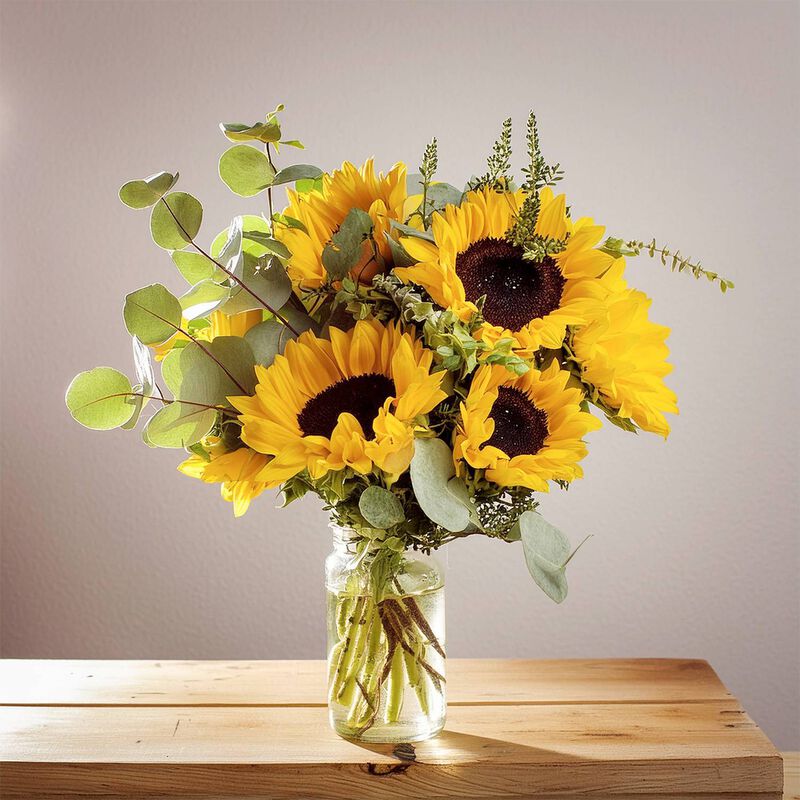 Sunny Days Premium image number null