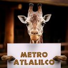Bioparque + Transporte incluido CDMX Metro Atlalilco, sábado 25 de octubre.