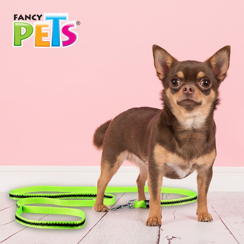 Fancy Pets Correa con Ultra Grip y Bandas Refle... image number null