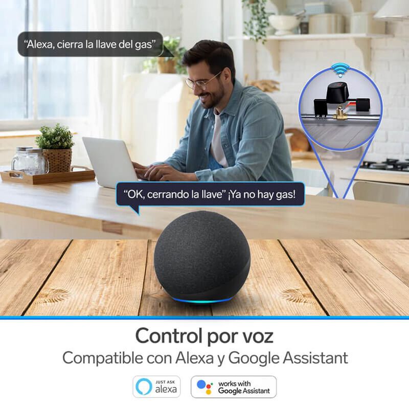 Válvula Wi-fi SHOME-150 image number null