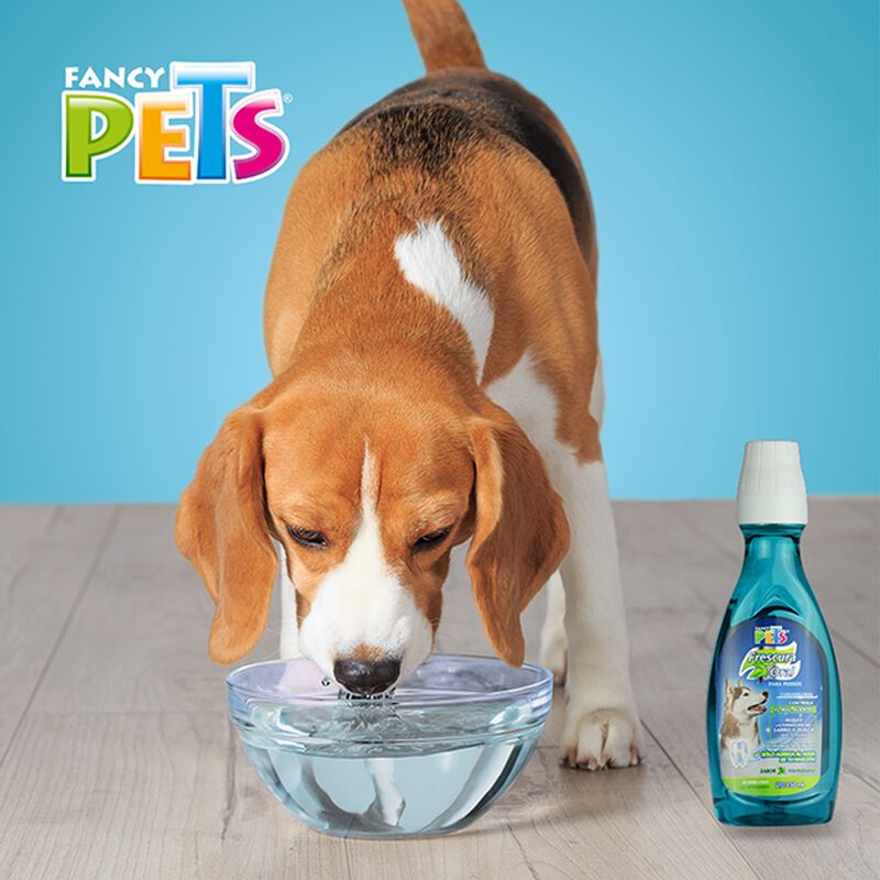 Fancy Pets Refrescante De Aliento 350 Ml image number null