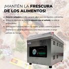 Empacadora de alto vac&iacute;o 260 Shorbull