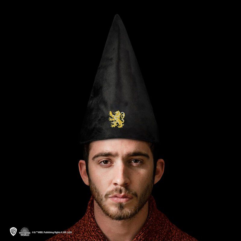 Gorro de Mago Estudiante de la Casa Gryffindor ... image number null