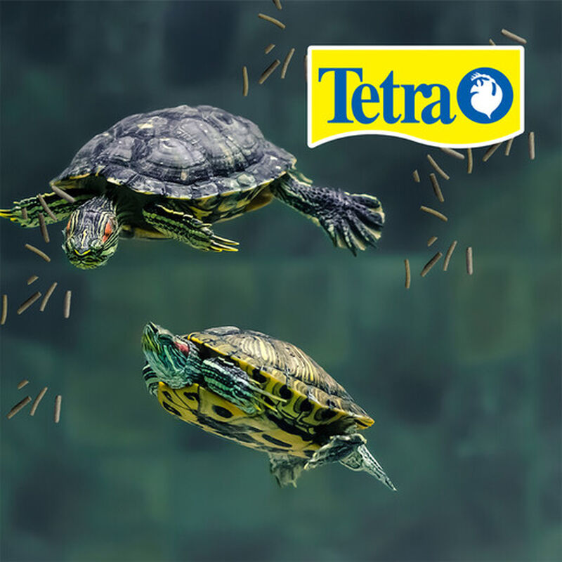 Tetra Reptomin Floating Sticks Alimento para To... image number null