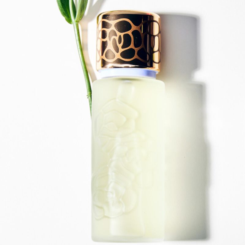 Perfume Houbigant Quelques Fleurs L'original Ea... image number null