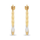Arracadas Ovaladas De Oro Amarillo Y Blanco 10K (7 X 10 Mm Aprox)