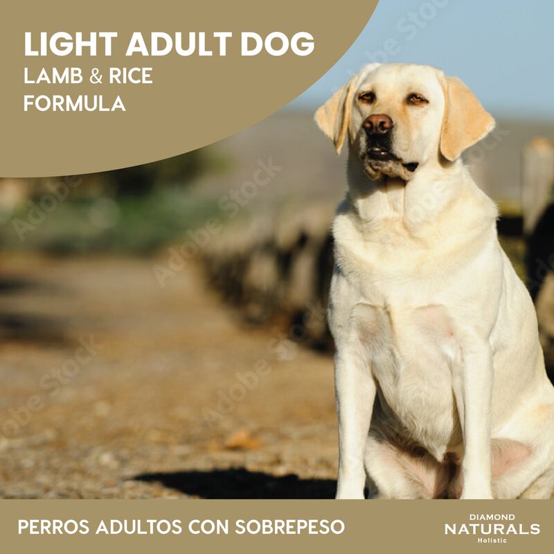 Diamond Naturalssmall & Medium Bread Puppy Chik... image number null