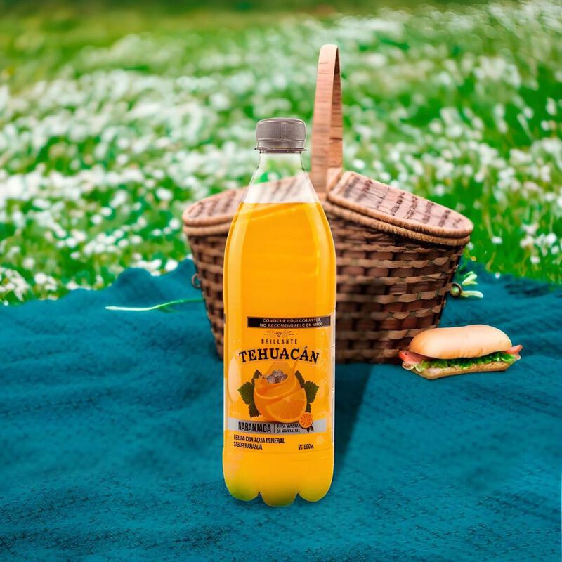 Agua Mineral Sabor Naranjada Tehuac&aacute;n Pack 12 U... image number null