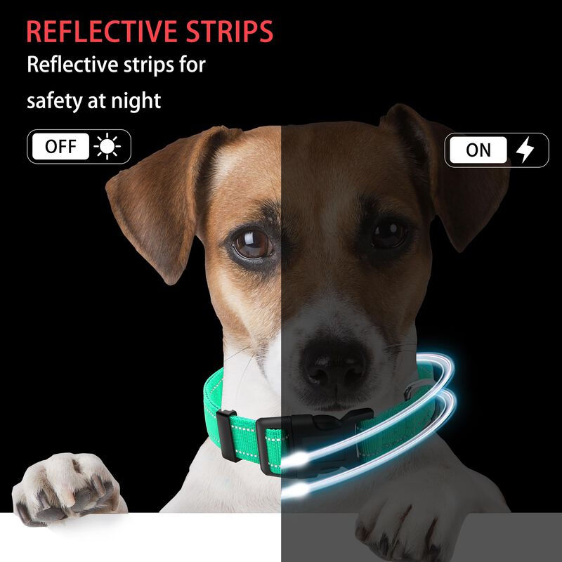 Collar Reflectante Para Perro Maiiu + Correa image number null