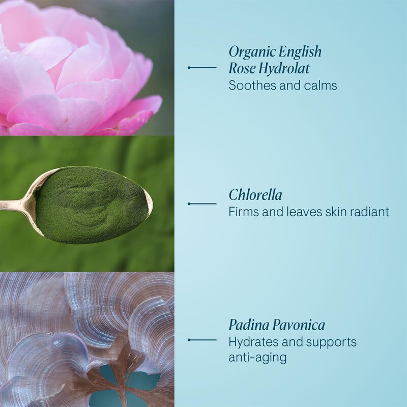 Crema Elemis Pro-collagen Rose Marine Hidratant... image number null