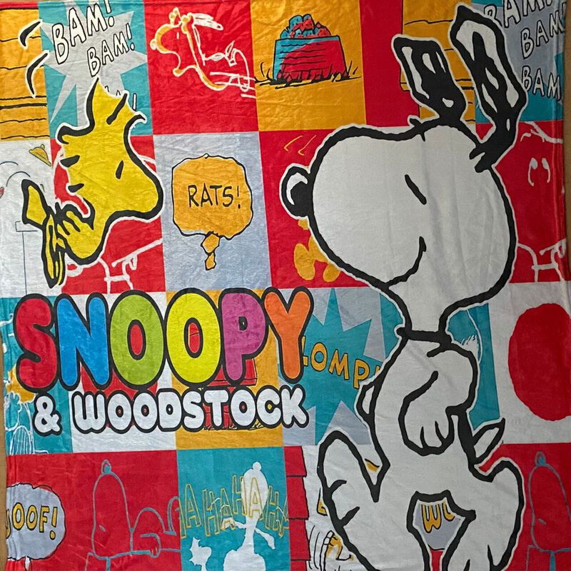 Exclusiva! Cobija Frazada Ultra Suave Snoopy Bi... image number null
