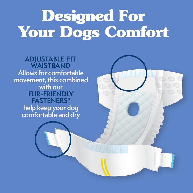 Pa&ntilde;ales Desechables Para Perros Simple Solution... image number null