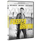 Fuerza Bruta [DVD]