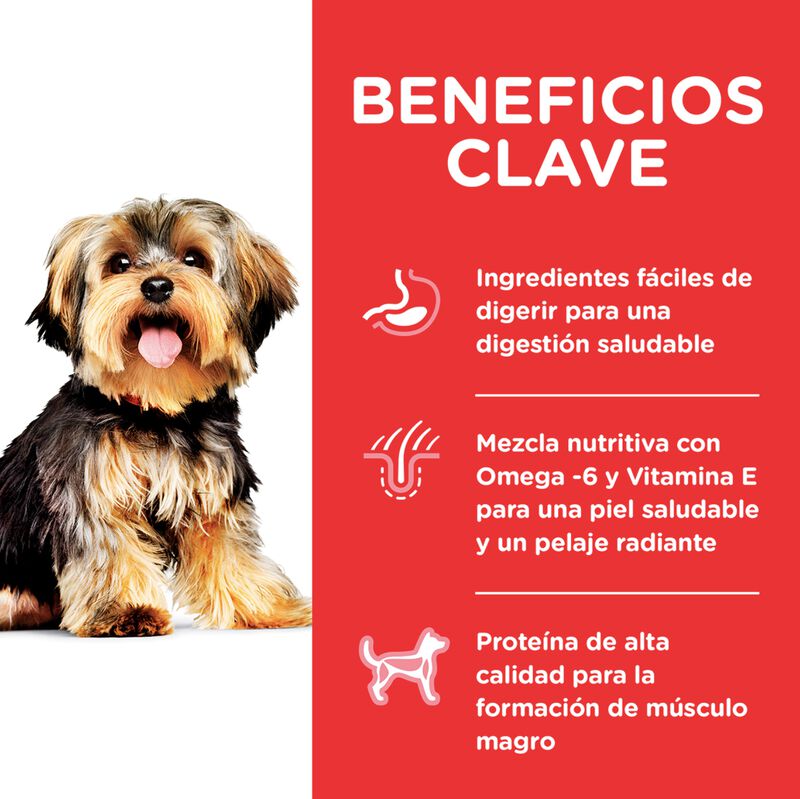 Hill's Canino Adult Small 2 Kg Original Sellado image number null