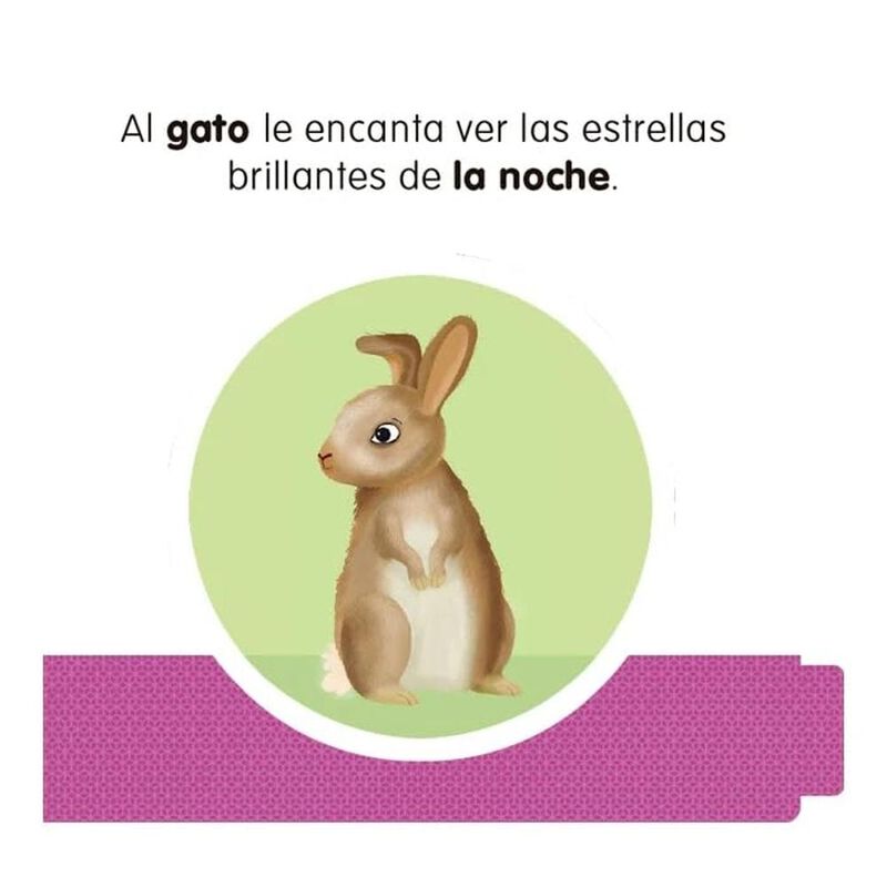 Enciclopedia Ilustrada Desastres Naturales, De ... image number null