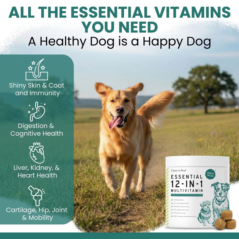 Vitaminas Para Perros Masticables + Heal Labs 1... image number null