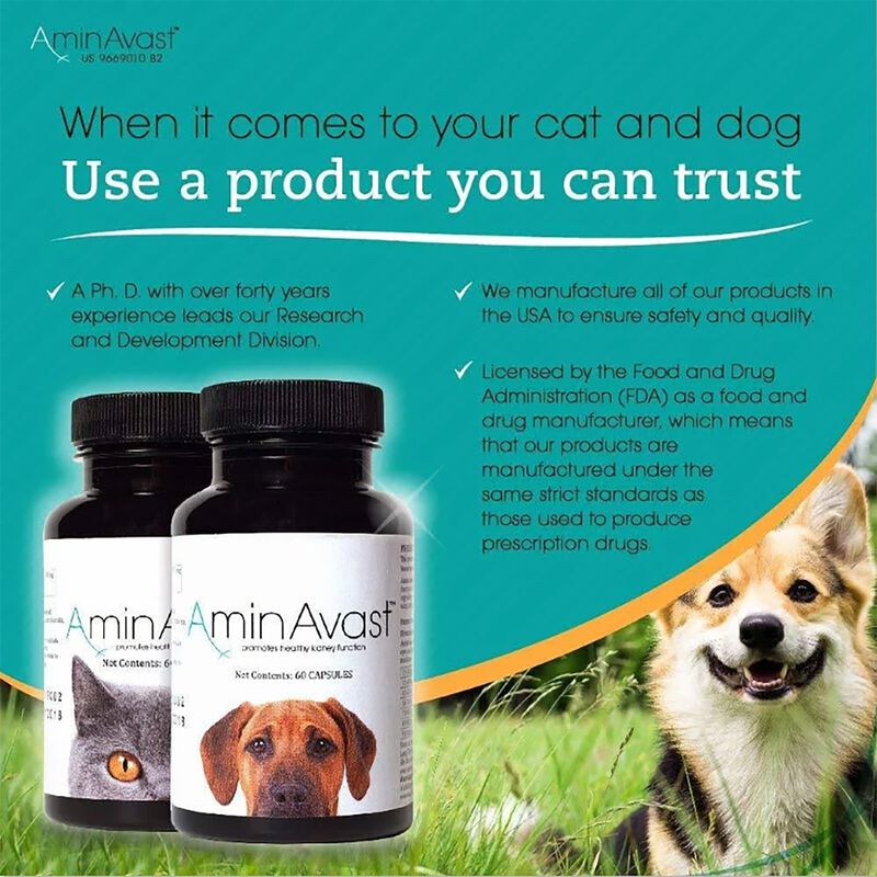 Suplemento Aminavast Kidney Support 300 Mg Para... image number null