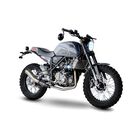 Motocicleta Hornet Gris 300cc Performance