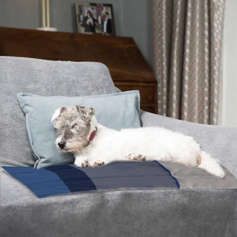 Funda Protectora Para Mascotas Polo One 6 Pack ... image number null